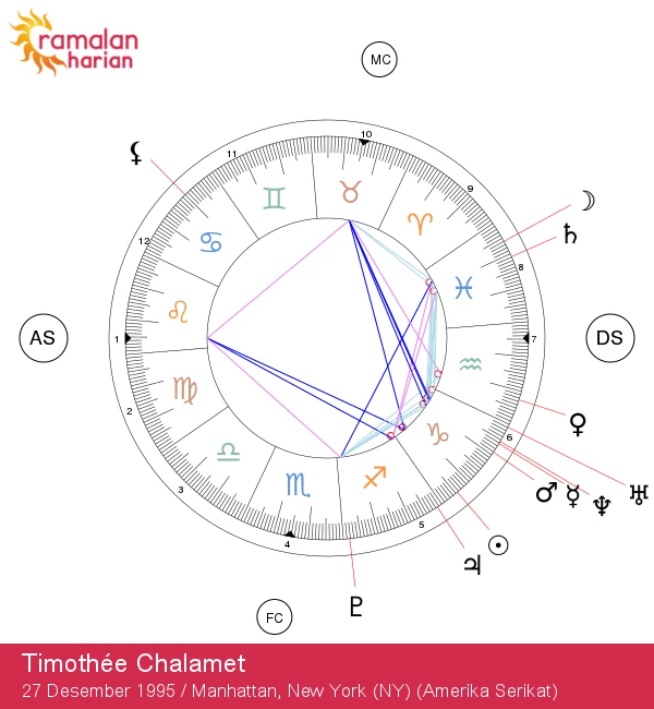 Ciri-Ciri Capricorn Timothée Chalamet: Wawasan Astrologi dan Karakteristiknya