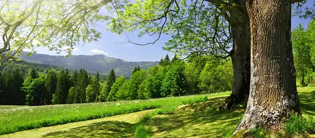 Horoskop Agustus 2026