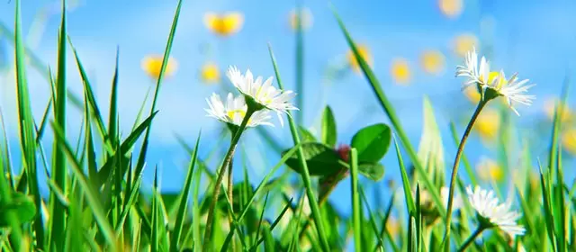 Horoskop tanggal Jumat 3 April 2026