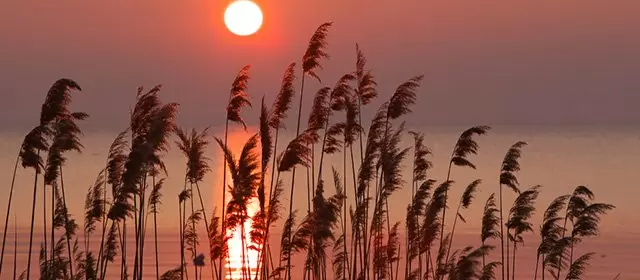 Horoskop tanggal Minggu 5 April 2026