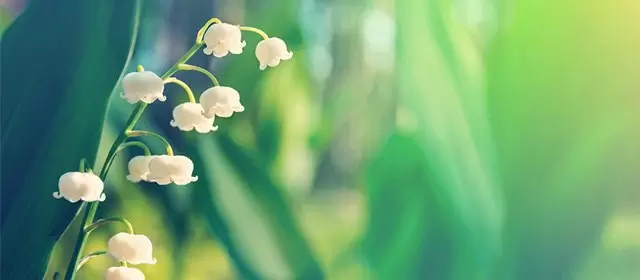 Horoskop September 2026